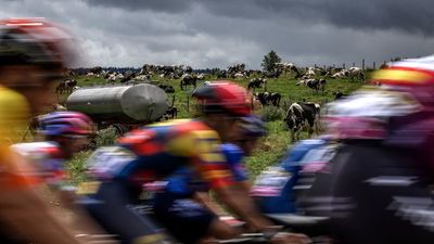 Two fewer climbs: Tour de France stage 19 rerouted and delayed due to cattle disease outbreak on Col des Saisies