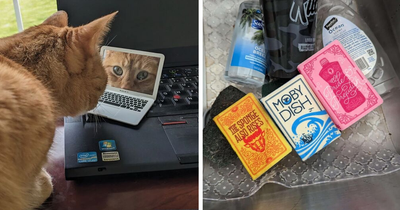 23 Little Novelty Upgrades To Make The Most Mundane Parts Of Your Day Infinitely More Fun