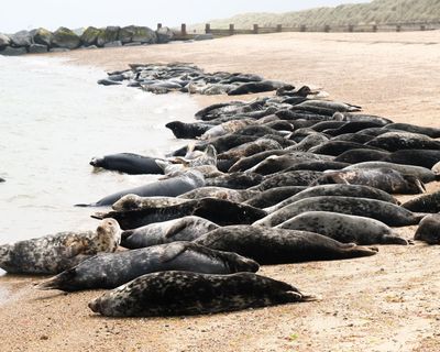 Digested week: Naked glamping and the Gen Z stare