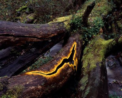 Pastoral play, AI portraits and a radical utopia for kids – the week in art