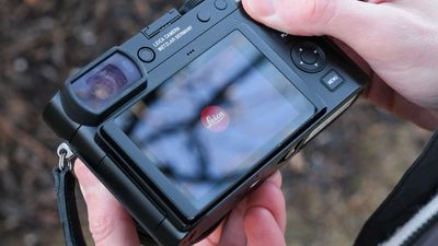 I am not a fan of the modern EVF and instead prefer using the screen to compose – does that make me 'less of a professional photographer'?