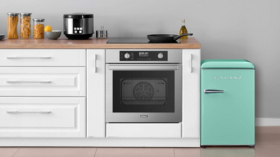 My biggest regret from my dorm room days is not buying this retro-inspired mini fridge