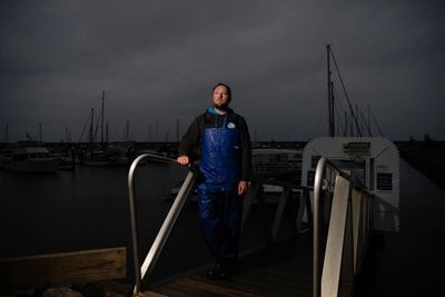 ‘We’re watching it get worse all the time’: as fish vanish in SA’s algal bloom, livelihoods are also at stake