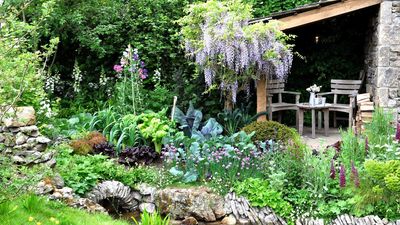 7 enchanting rustic garden ideas that will add charisma and individuality to your space (whatever the size)