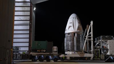 SpaceX Crew Dragon capsule 'Endeavour' arrives at pad ahead of July 31 astronaut launch (photos)