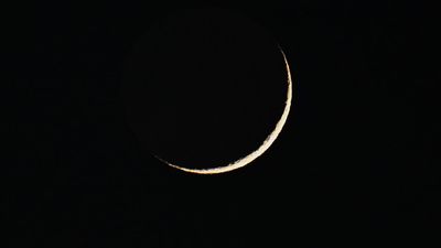 See a razor-thin moon shine close to Regulus in the evening sky tonight