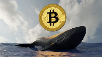 Dormant Bitcoin Whale Awakens After 14 Years, Moves $469.8 Million Worth of BTC