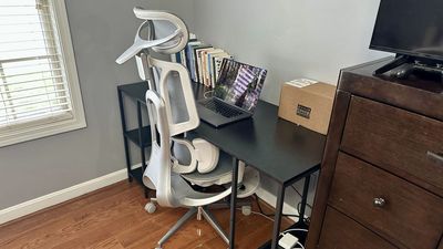 I reviewed the Hbada E3 Pro - and this reclining mesh office chair has more adjustments than I know what to do with