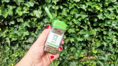 Experts urge homeowners to sprinkle mint in their yards this summer — here's why