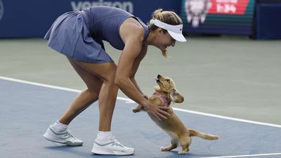 Anna Kalinskaya's Adorable Dog Continues to Steal the Show at Washington Open