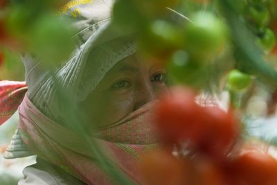 Here's how a major Mexican tomato exporter is affected by Trump’s 17% tariff