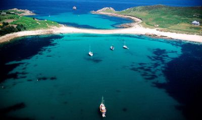 ‘Unlike anywhere else in Britain’: in search of wildlife on the Isles of Scilly