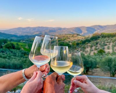 The best no- and low-alcohol wines for when you’re off the booze (yes, good ones do exist)