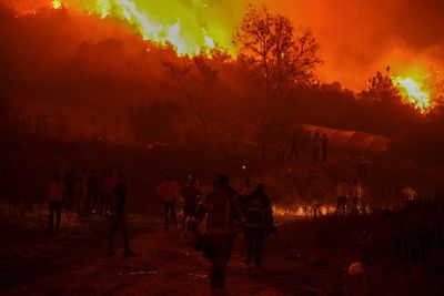 ‘Apocalyptic’ Turkey wildfires spread as 14 killed in blazes sparked by record 50C heatwave