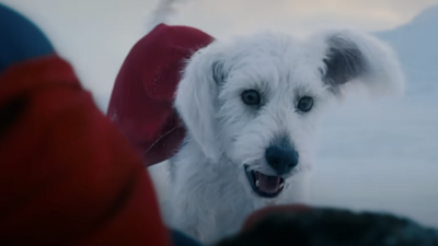 James Gunn Gets Real About What It's Actually Like Promoting A Superhero Movie Around The Globe, And His Krypto Meme Cracks Me Up