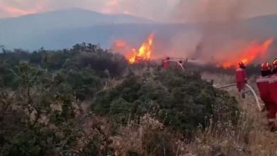Albania and Bulgaria ask EU for help to deal with raging wildfires