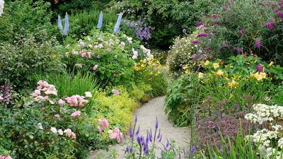 Butter yellow is trending – and these 7 stunning yellow garden flowers might just change your mind about this divisive color