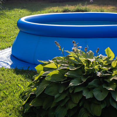 How to revive a lawn after a paddling pool has been on it – expert tips to get rid of brown, slimy grass in just a few weeks