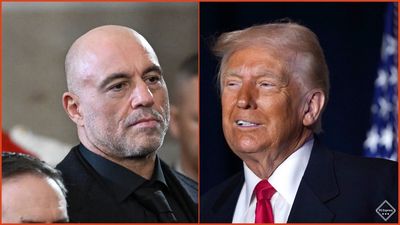 ‘Think we’re babies?’: Joe Rogan grows a spine for 5 mins to wonder why Donald Trump’s so scared of Epstein files