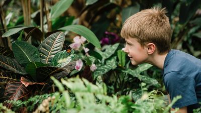 "Screaming and running away from creepy-crawlies was part of who I was... until I flipped the script"