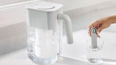 I tried this advanced water filter to test how ‘unclean’ my tap water is — and the results surprised me