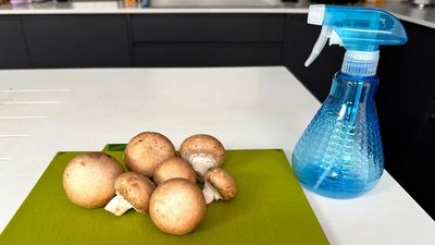 Gardeners urged to use mushrooms in the yard this summer — this hack will banish aphids in minutes