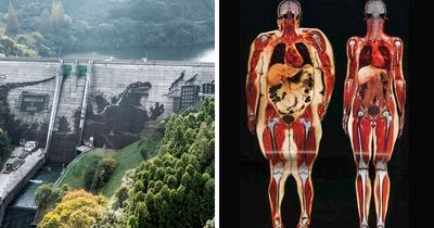 50 Random Things People Found That Are Too Interesting Not To Share (New Pics)