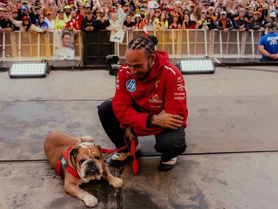 Did Lewis Hamilton's P18-to-P7 Belgian GP Fightback Prove He's Still F1's Master of Recovery?