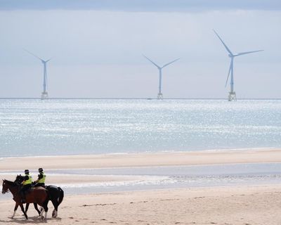 Tilting at windmills? Trump’s claims about turbines fact-checked