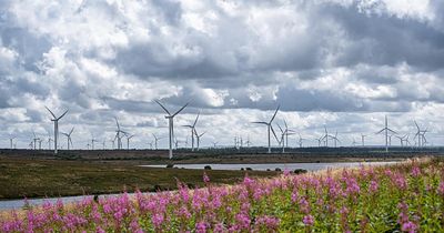 Scottish firm named among the world's '500 most sustainable' companies