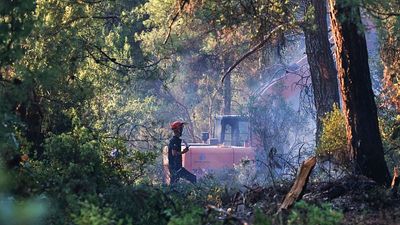 Intense floods strike Romania as wildfires rage across Turkey and Albania