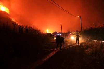 Turkey Battles Wildfires As Heatwave Grips Med