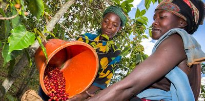 Africa’s smallholder farmers are using bright ideas to adapt to climate change: G20 countries should fund their efforts