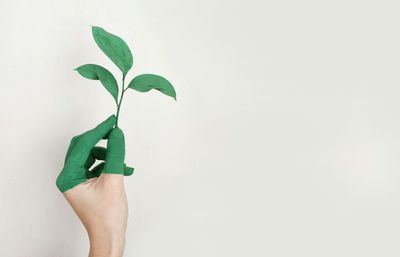 7 Brands Using ‘Eco-Friendly’ Labels That Mean Nothing