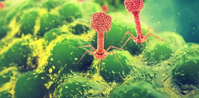 How ancient viruses could help fight antibiotic resistance