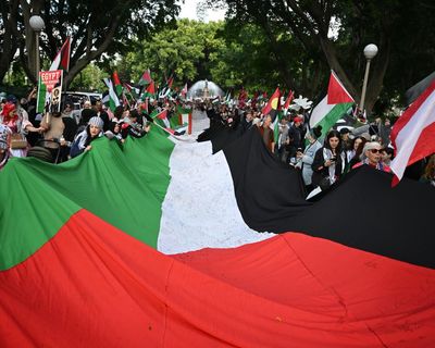 Sydney mayor Clover Moore says pro-Palestine march across Harbour Bridge would be ‘powerful symbol’