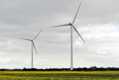 Trump hits out at ‘ugly monster’ wind farms as he backs oil and gas