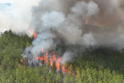Thousands evacuated as wildfires spread across Europe