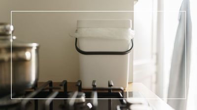 How to keep a bin smelling fresh in summer: 5 tips to combat stubborn odours