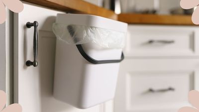 How to keep a bin smelling fresh in summer: 5 tips to combat stubborn odours