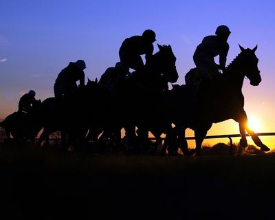 Trainers’ chief backs radical alternative to government’s gambling tax plan