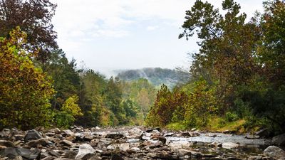 Hikers asked to check cell phone and camera footage after couple murdered on trail in remote Arkansas State Park, composite sketch of suspect released