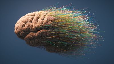 Memories aren't static in the brain — they 'drift' over time