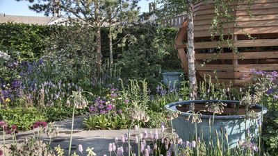 6 essential gardening jobs to do this week before August begins – or it might be too late