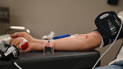 Australia's blood supply to receive a critical boost
