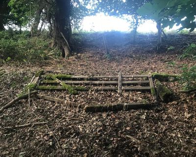 Country diary: I prefer my farm gates to tell a story