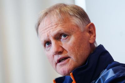 World Rugby rebuffs Joe Schmidt’s safety claim over Lions’ match-winning try