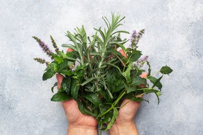 How to make the most of your crop of garden herbs