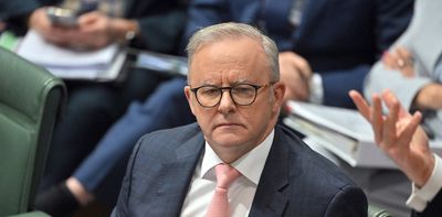 View from The Hill: Albanese wants international cover before Australia recognises Palestine as a state