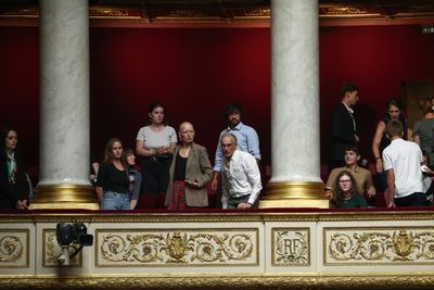 French Health Experts Speak Out Against Bee-killing Pesticide